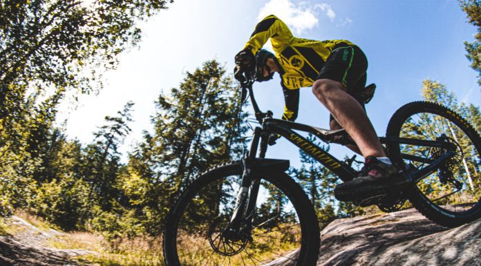 Best Mountain Bikes Under 300