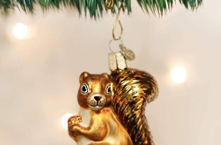 gifts for squirrel lovers